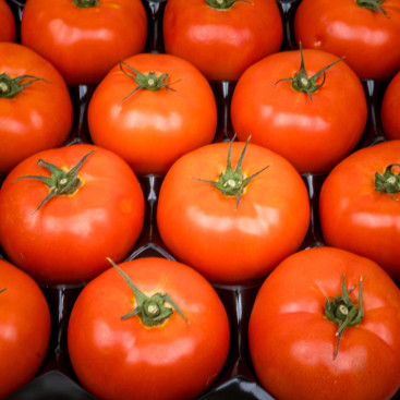 Tomates rondes 7 kg
