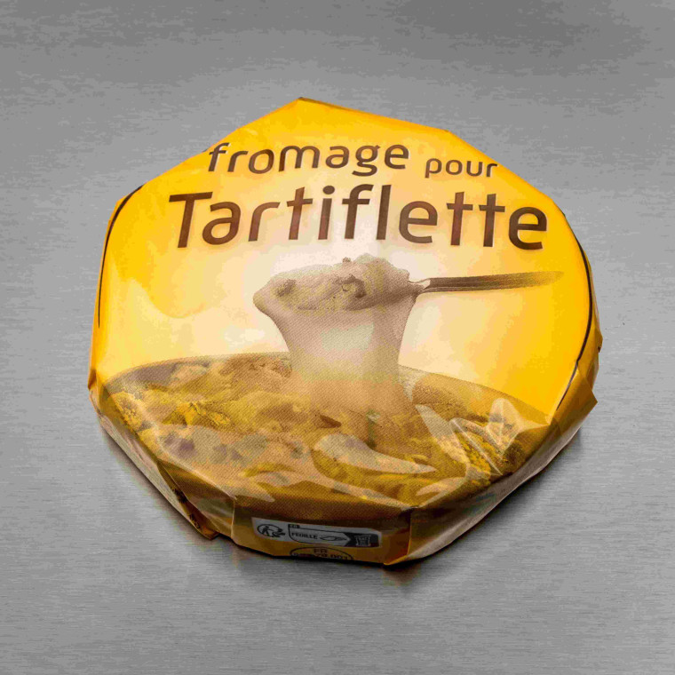 Fromage pour tartiflette 450 g - vue principale du produit